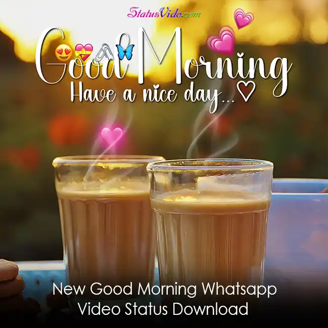 New Good Morning Whatsapp Video Status Download